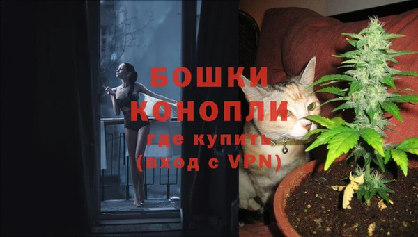 соль курить ск Нея
